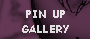 Pin Up Gallery