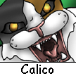 Calico